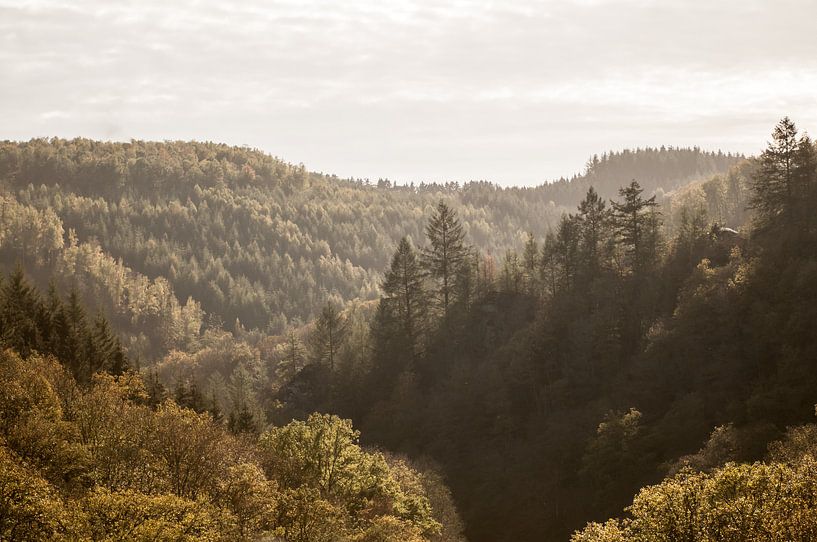 Autumn in Ardennes by Nancy van Verseveld
