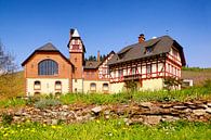 Avelsbach-wijnbouwgebied in Trier van Berthold Werner thumbnail