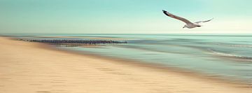 Verlangen van Hannes Cmarits