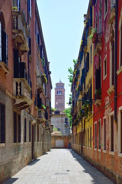Calle de la Fonderia by Frank's Awesome Travels