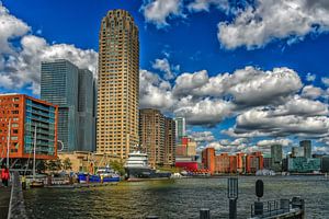 Rheinhafen Rotterdam