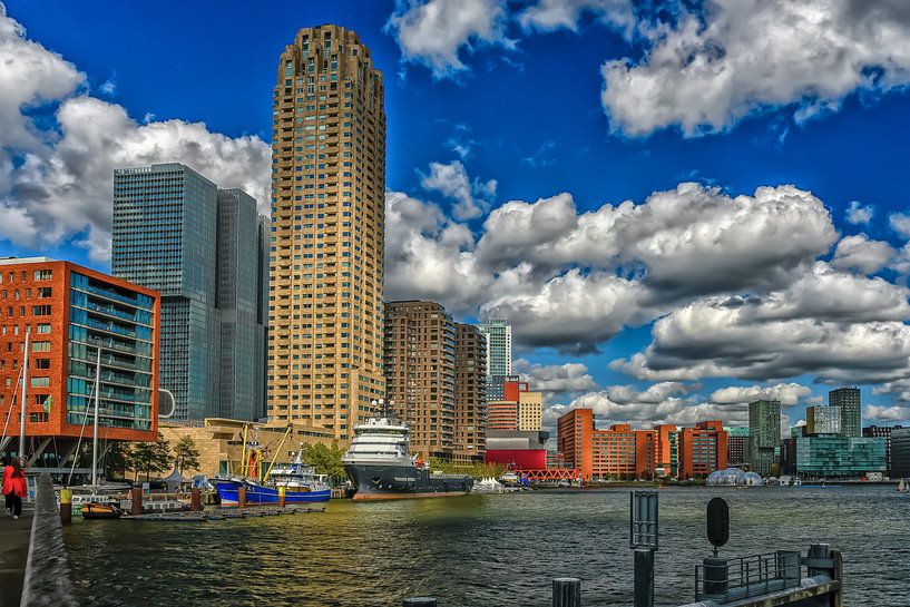 Rheinhafen Rotterdam von Leon Okkenburg