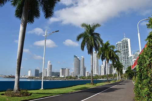De verlaten promenade op een zomerochtend