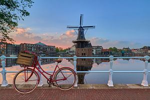 Fiets, bloemen, zonsopkomst en molen met perfecte reflecties