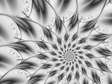 gray and white by Claudia Gründler