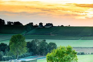 Mooie herfstavond met zonsondergang over het Jekerdal en de wijngaarden in Maastricht van Kim Willems