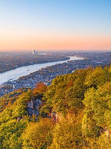 LE RHIN 05 - Drachenfels