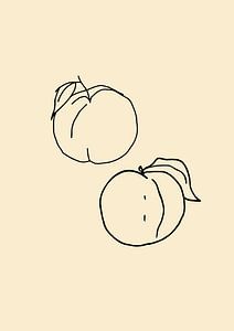 Fruit Still Life No 01