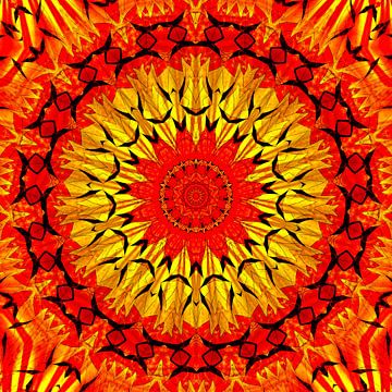 Mandala by Violetta Honkisz