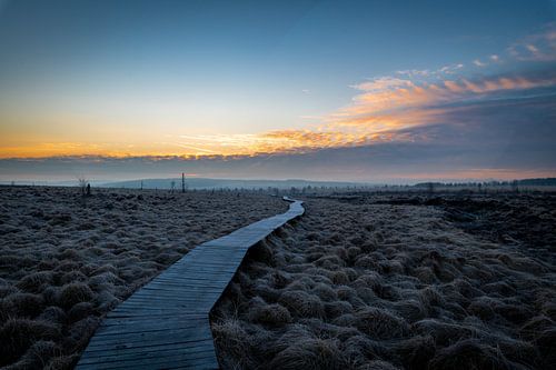 Wooden Boardwalk