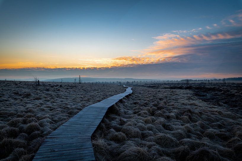 Wooden Boardwalk by Stefan Bauwens Photography