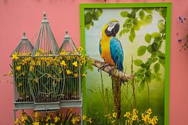 Keukenhof by Wendy Bierings