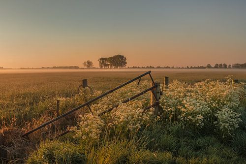 Hekwerk in landschap