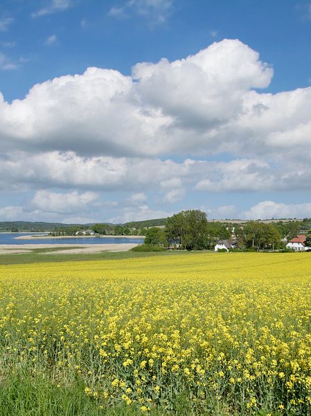 Seedorf und Neuensiener See,Insel Rügen von Peter Eckert