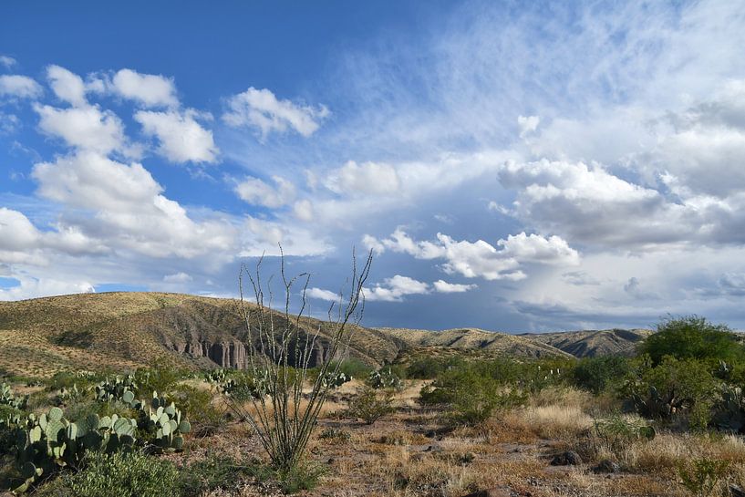 Hiking in Spring Canyon by Bernard van Zwol