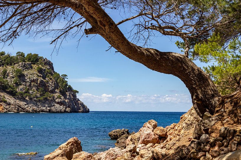 Coast at the bay Cala Tuent on the Balearic island Mallorca by Reiner Conrad