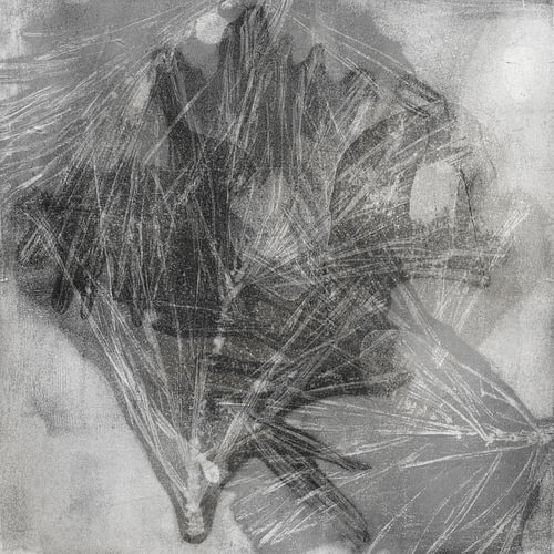 Abstract Botanical Art – Scandinavian Nature