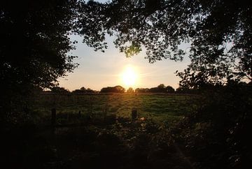 Die untergehende Sonne über einer Wiese in Drenthe. von Jurjen Jan Snikkenburg