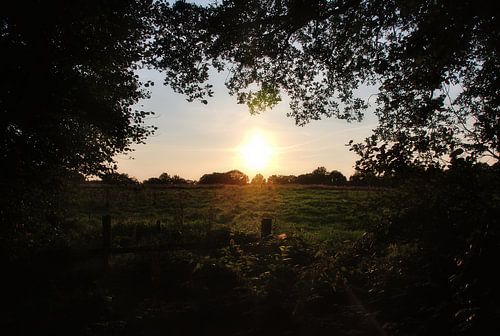De ondergaande zon boven een Drentse weide.