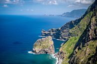 De kustlijn van Madeira tijdens een mooie zomerdag. van Sjoerd van der Wal Fotografie thumbnail