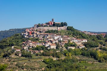 Zicht op Motovun in Kroatië