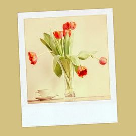 Vintage by Els Baltjes