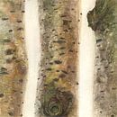 Branches by ART Eva Maria thumbnail