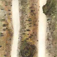 Branches