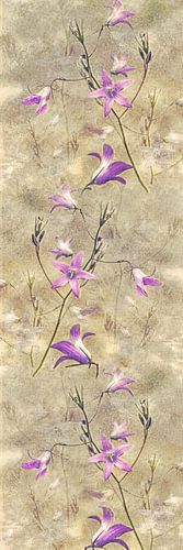 Klokkenbloem - Collage