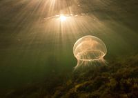 Into the light