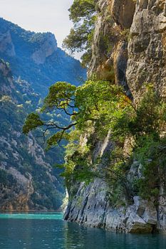 Tôt le matin dans les gorges du Verdon