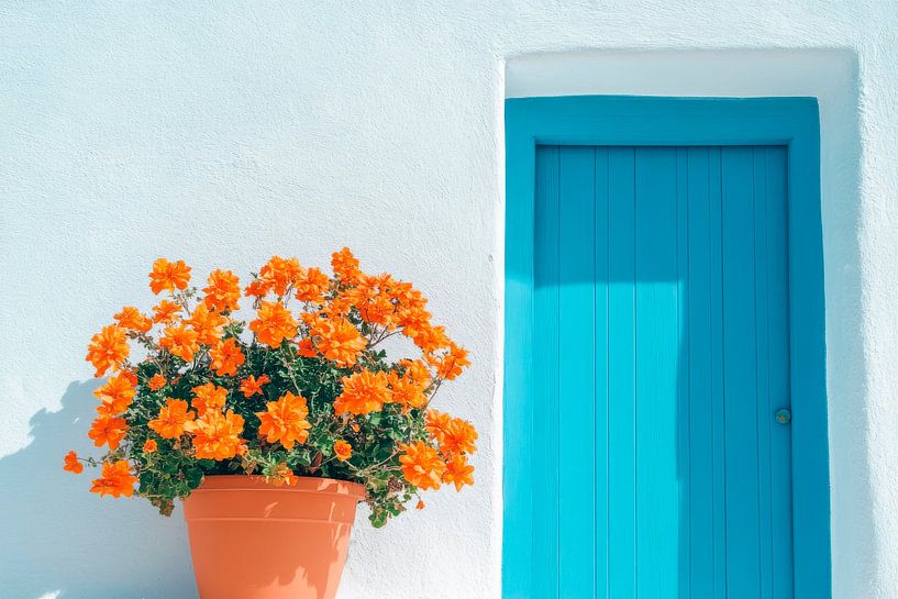 Porte d'entrée fleurie par Poster Art Shop