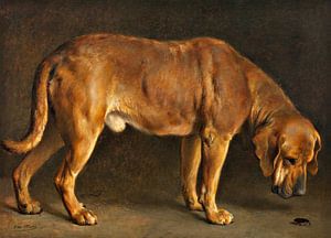 Een Broholmer Hond die een Hertog Kever bekijkt, Otto Bache