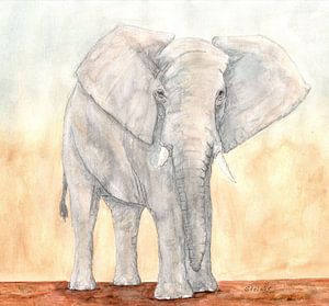 Elefant von Sandra Steinke