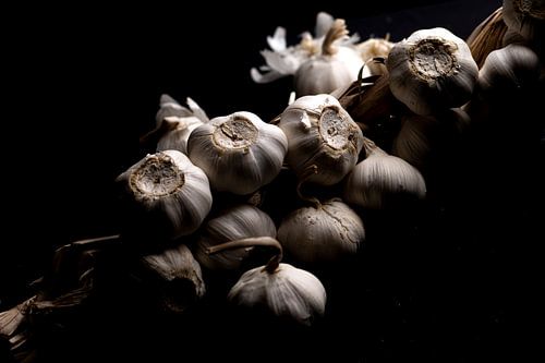 Knoflook aan een stronk