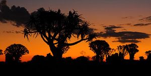Coucher de soleil en Namibie