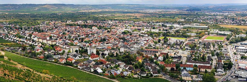 Büdesheim (Bingen on the Rhine), aerial panorama (08.2020) by menard.design - (Luftbilder Onlineshop)