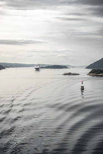 Le Guide du Fjord | Paquebot dans l'Oslofjord
