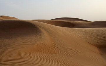 woestijn van Renée Teunis