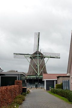 Altmodische Windmühle in Bovenkarpsel Flora von Nathan Mosher