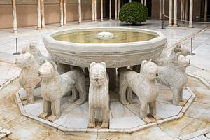 Alhambra - Fontaine aux lions