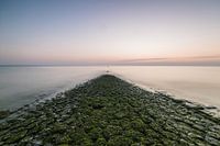 breakwater at schoorl