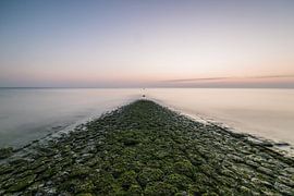 breakwater at schoorl by Hans Wolters