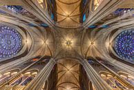 Notre Dame, Paris, before the fire by Maarten Hoek thumbnail