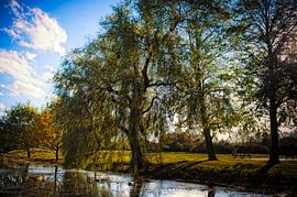 Brabant sur Huibert van der Meer