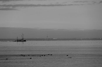 Vissersboot op het Markermeer.