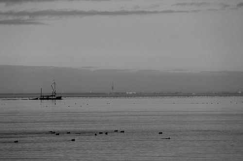 Vissersboot op het Markermeer.