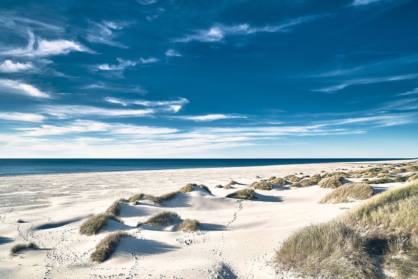 Weiße Dünen an der Nordseeküste von Florian Kunde