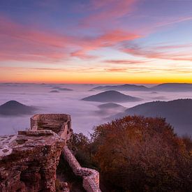 Nebliger Morgen über dem Pfälzerwald von Paul Begijn