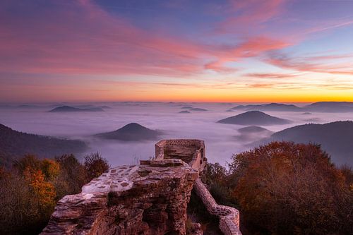 Dawn and fog,  Pfalzerwald, Germany van Paul Begijn